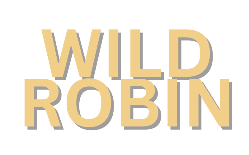 WildRobin Casino